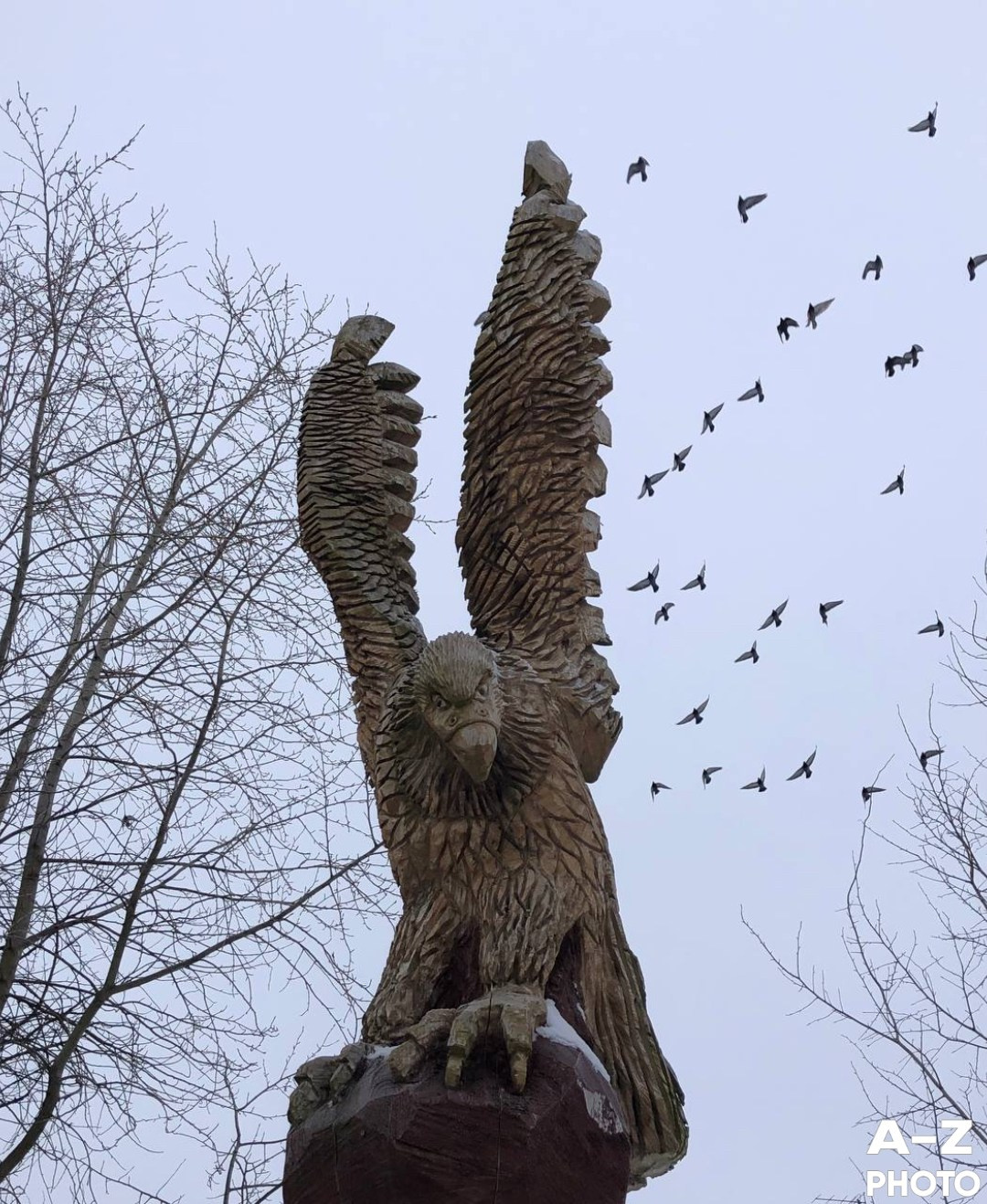 Фото недели AZPHOTO 24.11.2025. Женский семейный фотограф Тула Москва Захарова Анна