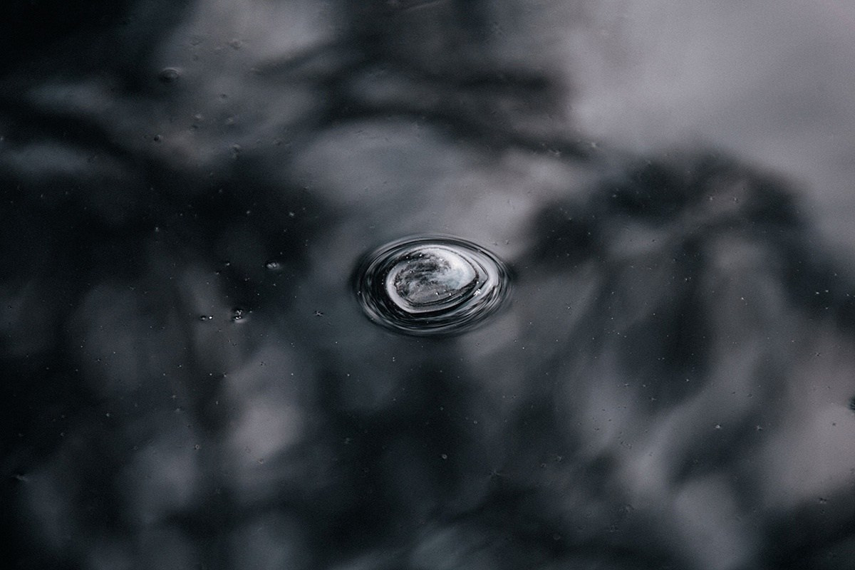 Красота в глазах смотрящего. Фотограф Бочарова Наталья, Санкт-Петербург