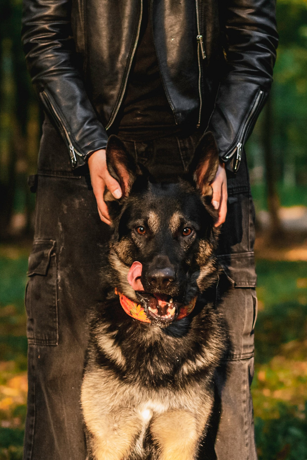 Илай. Фотограф-анималист Татьяна Степанова