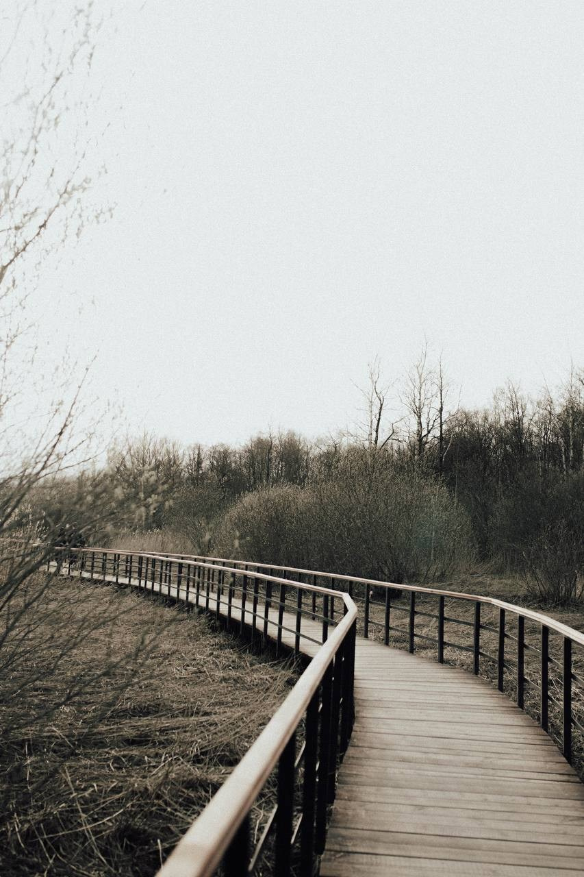 Санкт-Петербург. Александра Мельниченко/ Бегающий фотограф