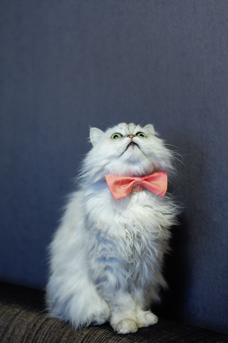 Даша и Миша. Фотограф в Нижневартовске Анна Стрельцова