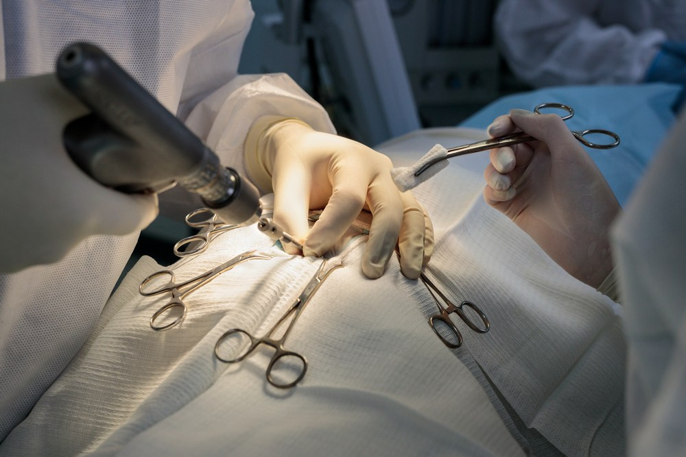 Бизнес фотосессия для ветеринарной клиники Казань. Промышленный фотограф | Фото для бизнеса | Казань и РФ