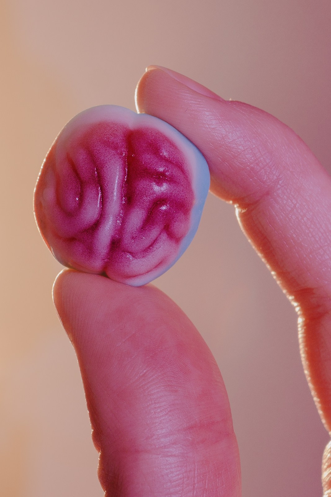 Анна. Борщевская Елизавета / фотограф Иркутск