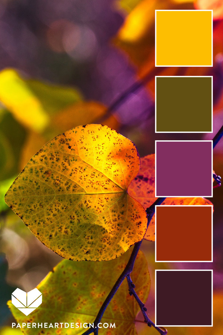 Цветовые сочетания в одежде. Детский семейный фотограф в Абинске