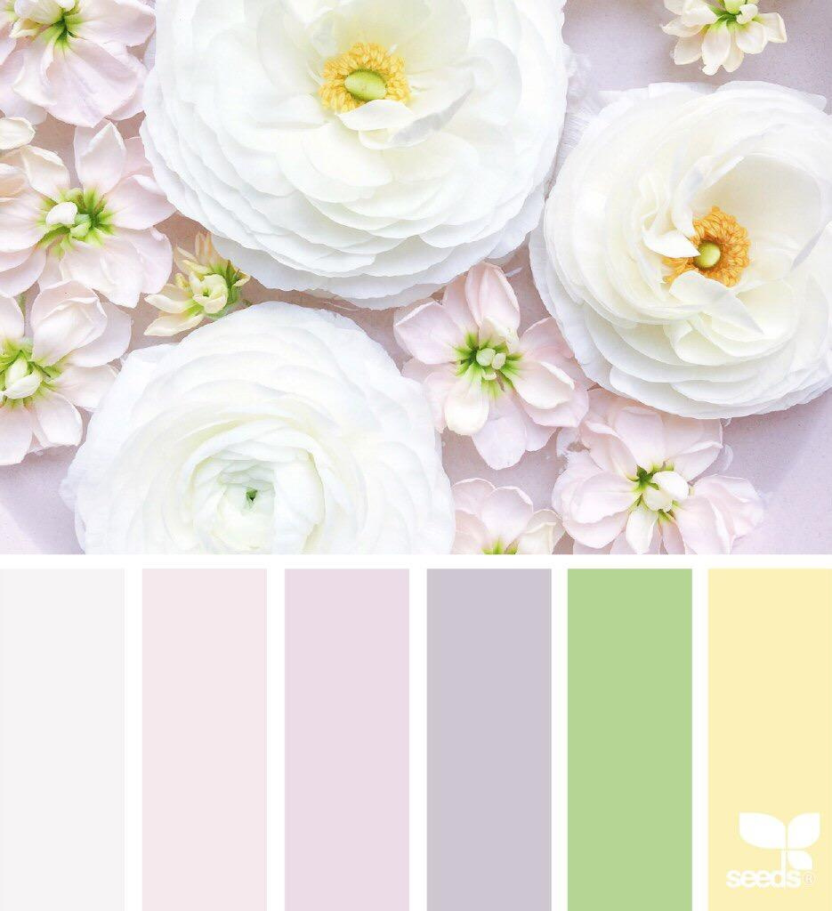 Цветовые сочетания в одежде. Детский семейный фотограф в Абинске