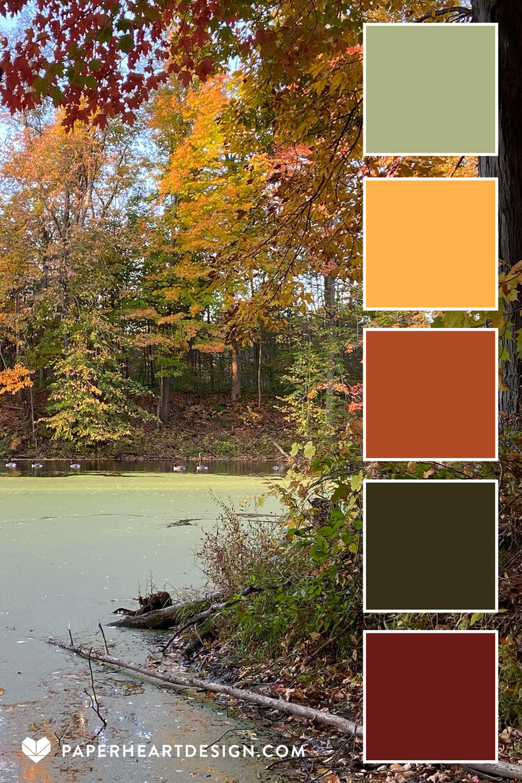 Цветовые сочетания в одежде. Детский семейный фотограф в Абинске