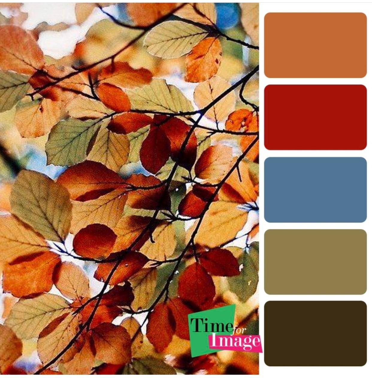 Цветовые сочетания в одежде. Детский семейный фотограф в Абинске