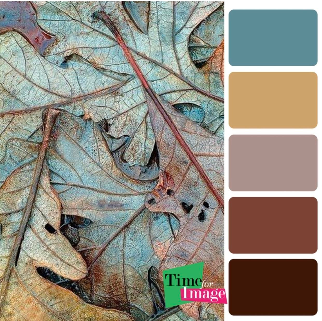 Цветовые сочетания в одежде. Детский семейный фотограф в Абинске