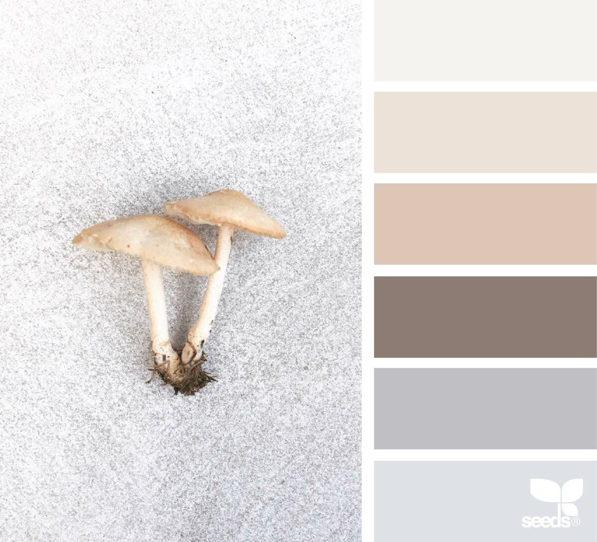 Цветовые сочетания в одежде. Детский семейный фотограф в Абинске