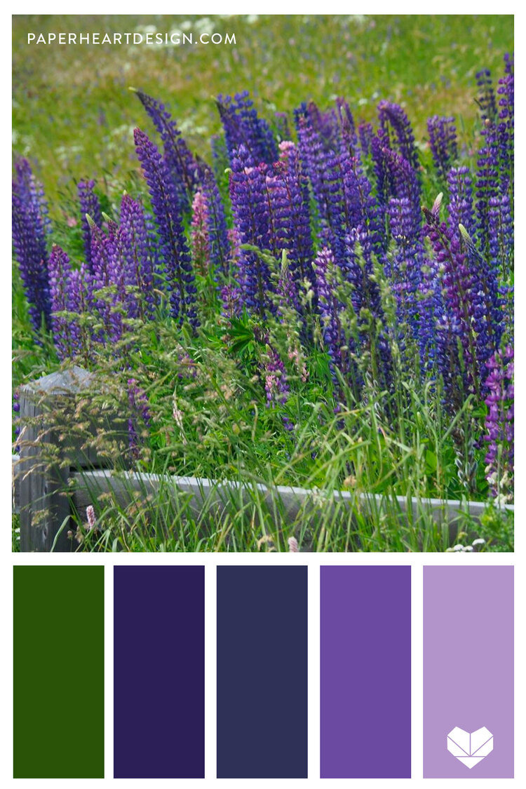 Цветовые сочетания в одежде. Детский семейный фотограф в Абинске