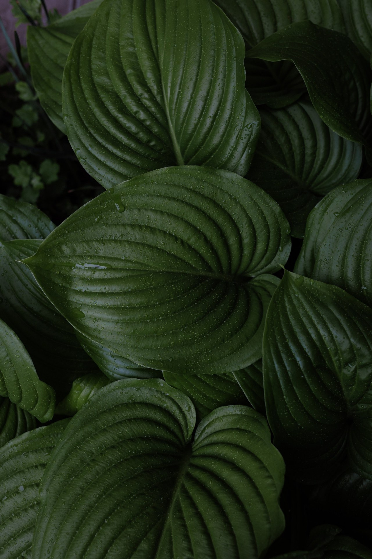 Отзывы. Портретный, семейный и репортажный фотограф в Ставрополе Ульяна Доценко