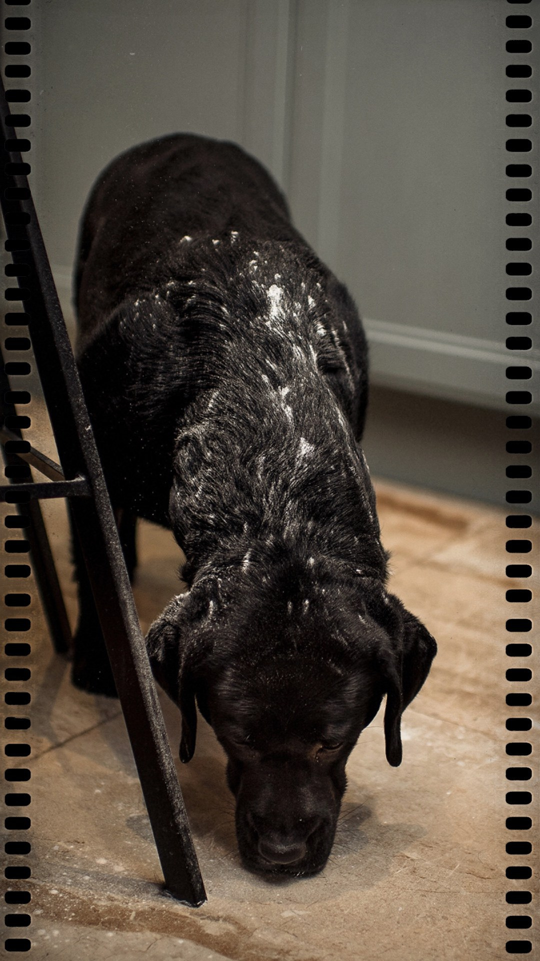 НОВОГОДНЯЯ, ПИЖАМНАЯ :). Свадебный и семейный фотограф РИТА БОЧКАРЁВА