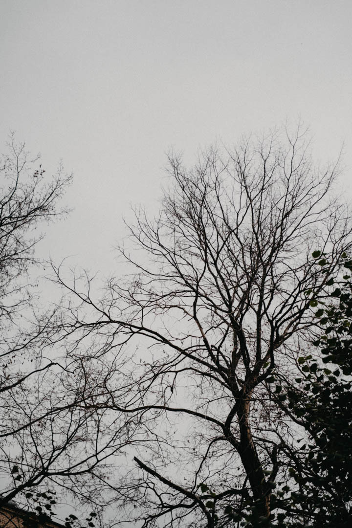 Настя и Сережа. Фотограф Будз Ростислав — Чита