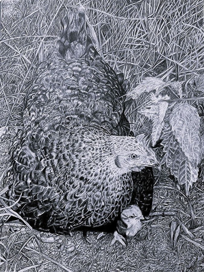 Финч Татьяна Николаевна. Галерея участников Российской Премии Искусств