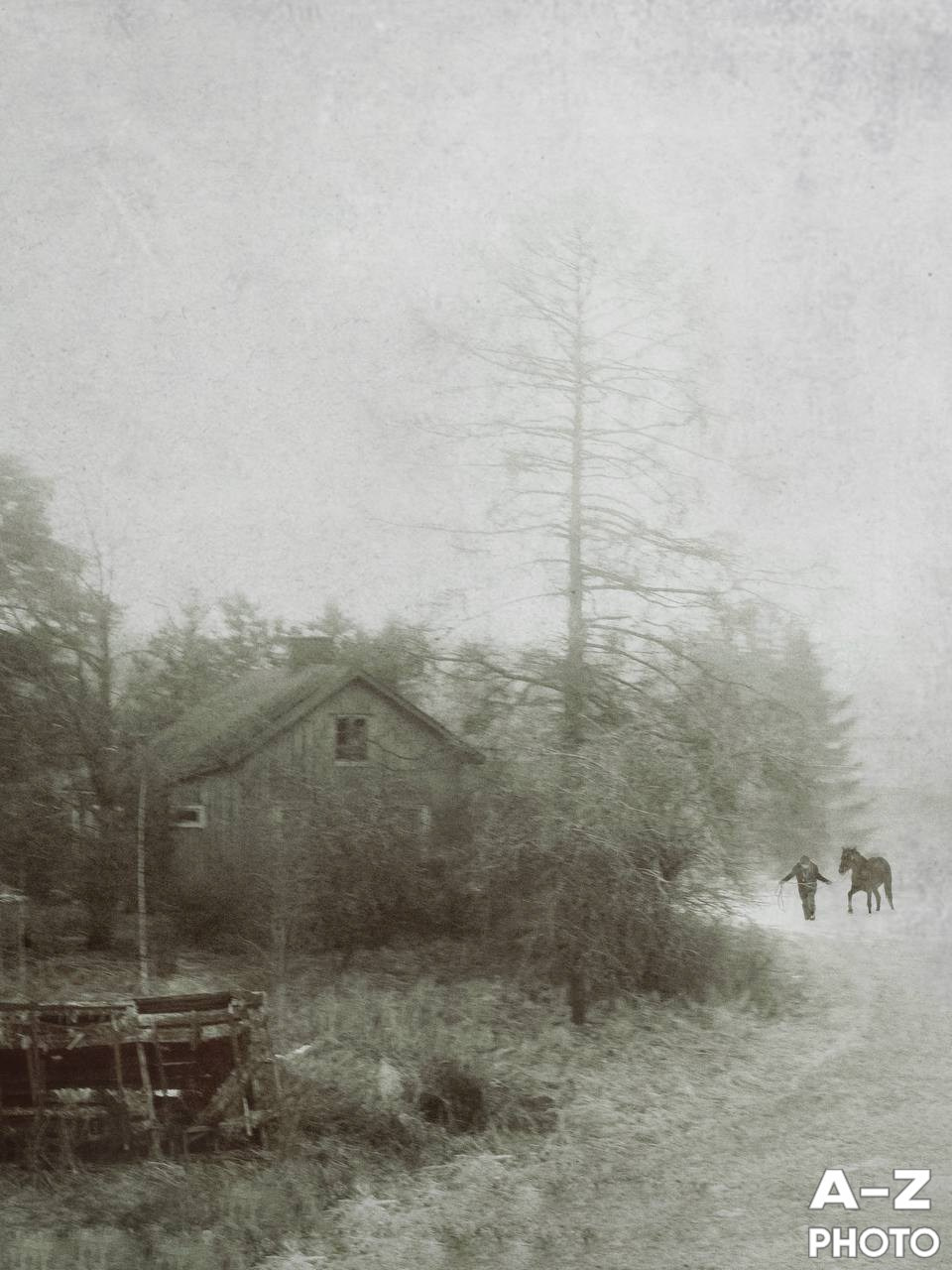 #ФОТОНЕДЕЛИ 23.03.2026. Женский семейный фотограф Тула Москва Захарова Анна