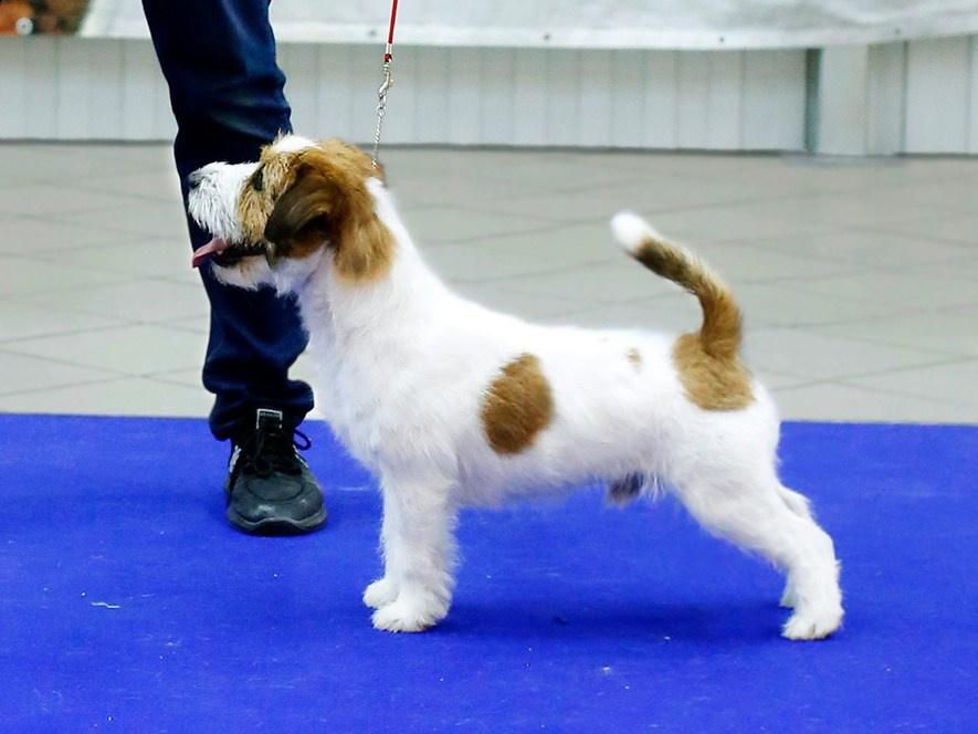 Port Fortis Rock-N-Roll