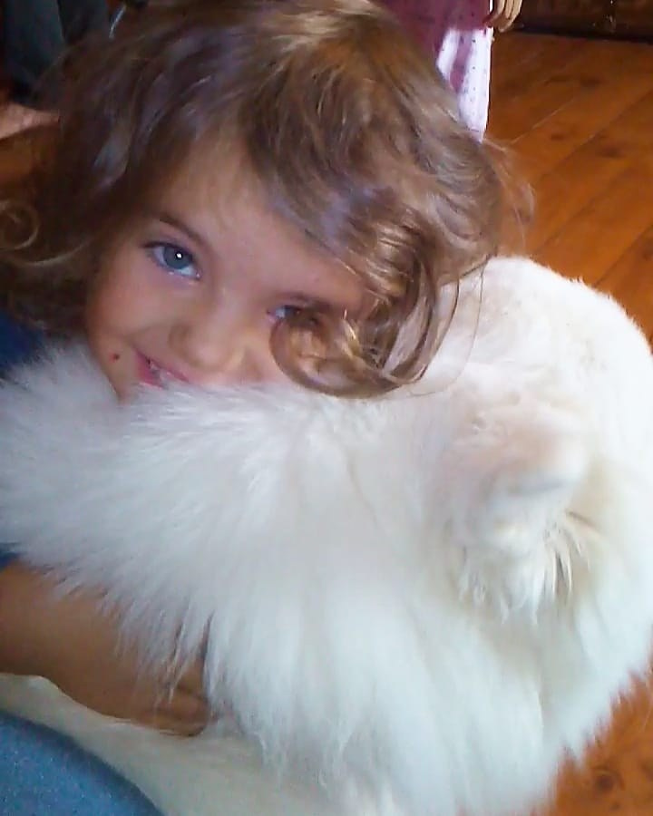 Anka`s Instagram. Заставка