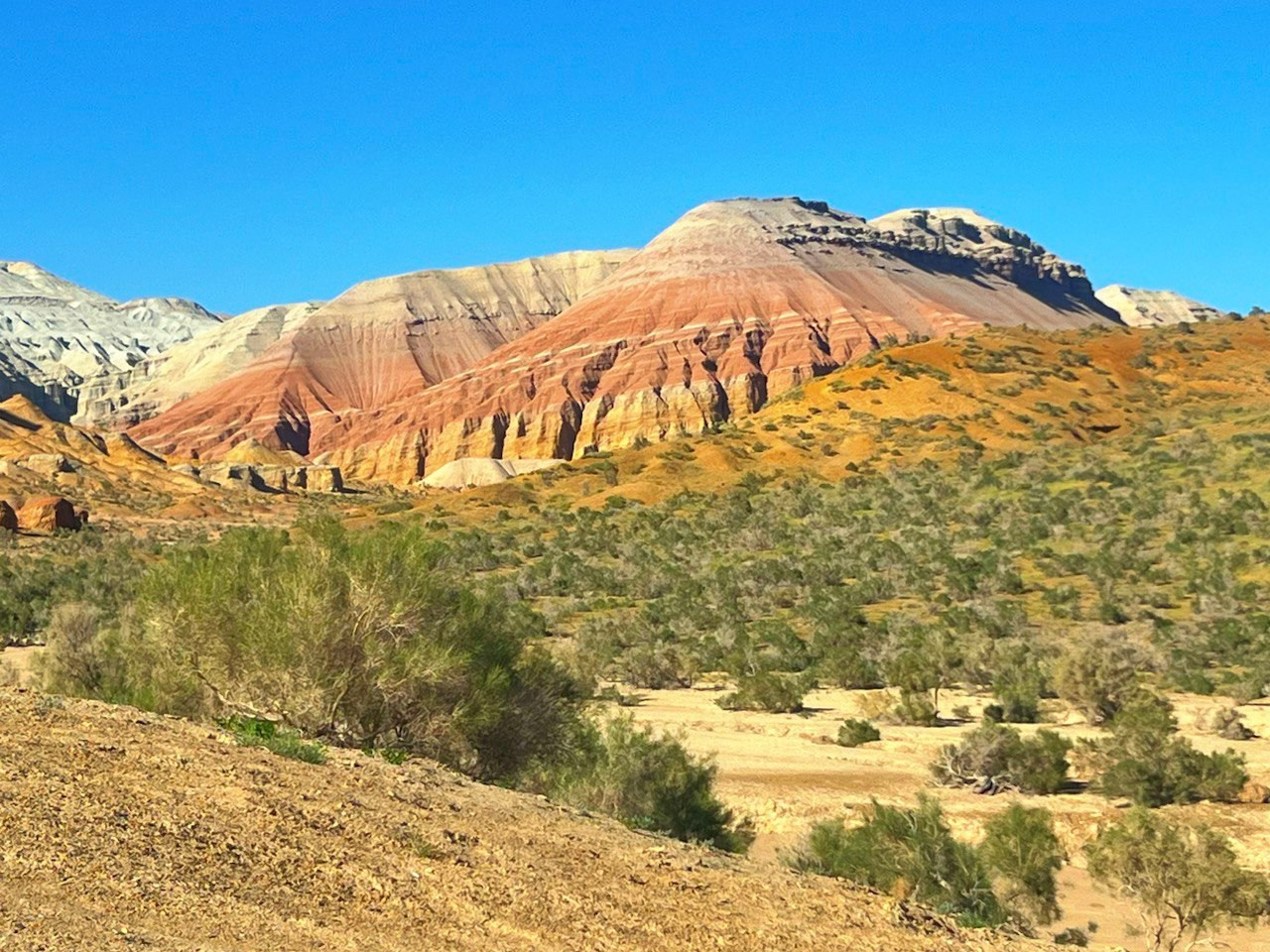 Экскурсия и тур на 4 дня Золотое кольцо Жетысу