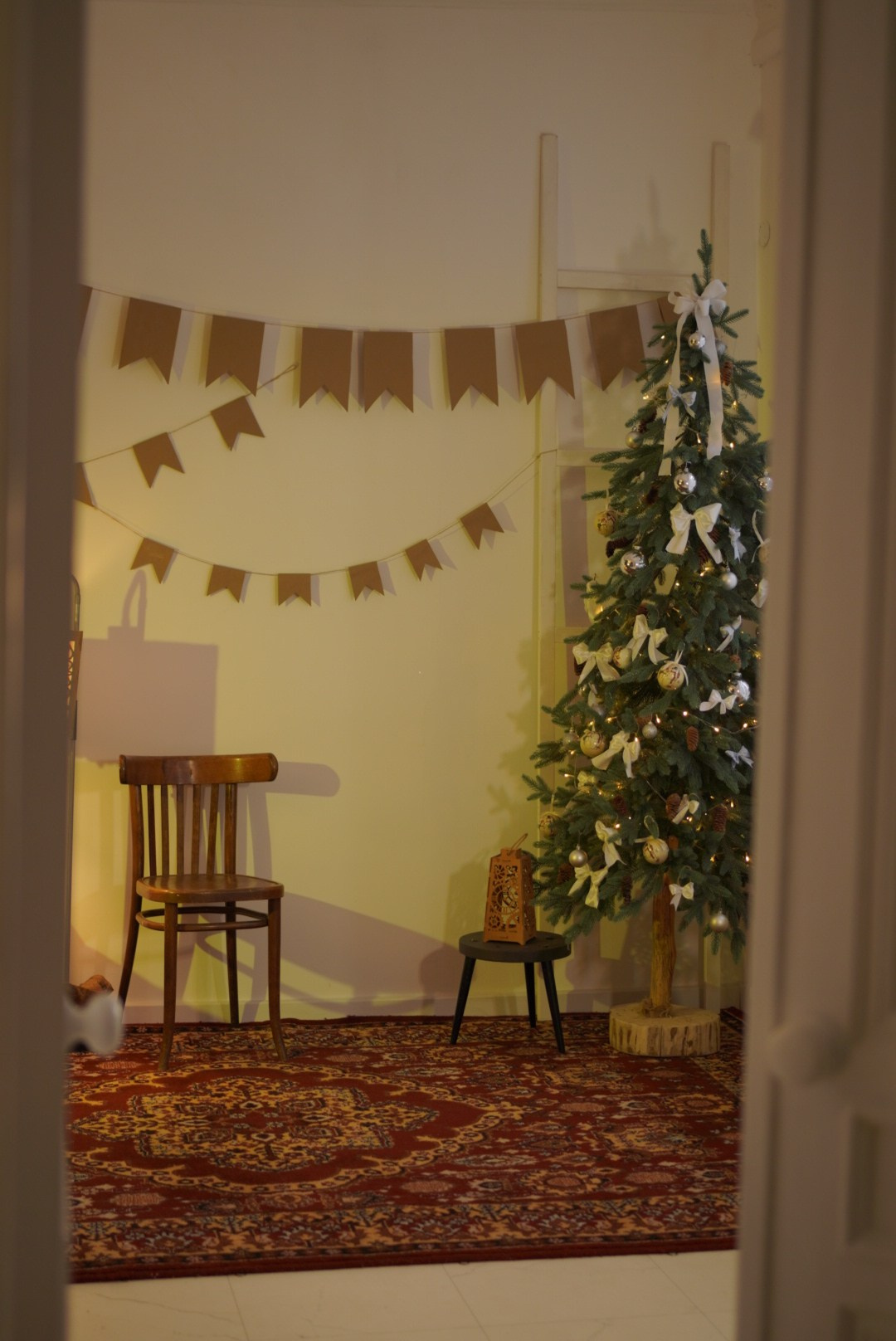 Новогодний Фотопроект в студии Art is…. Photographer in Montenegro