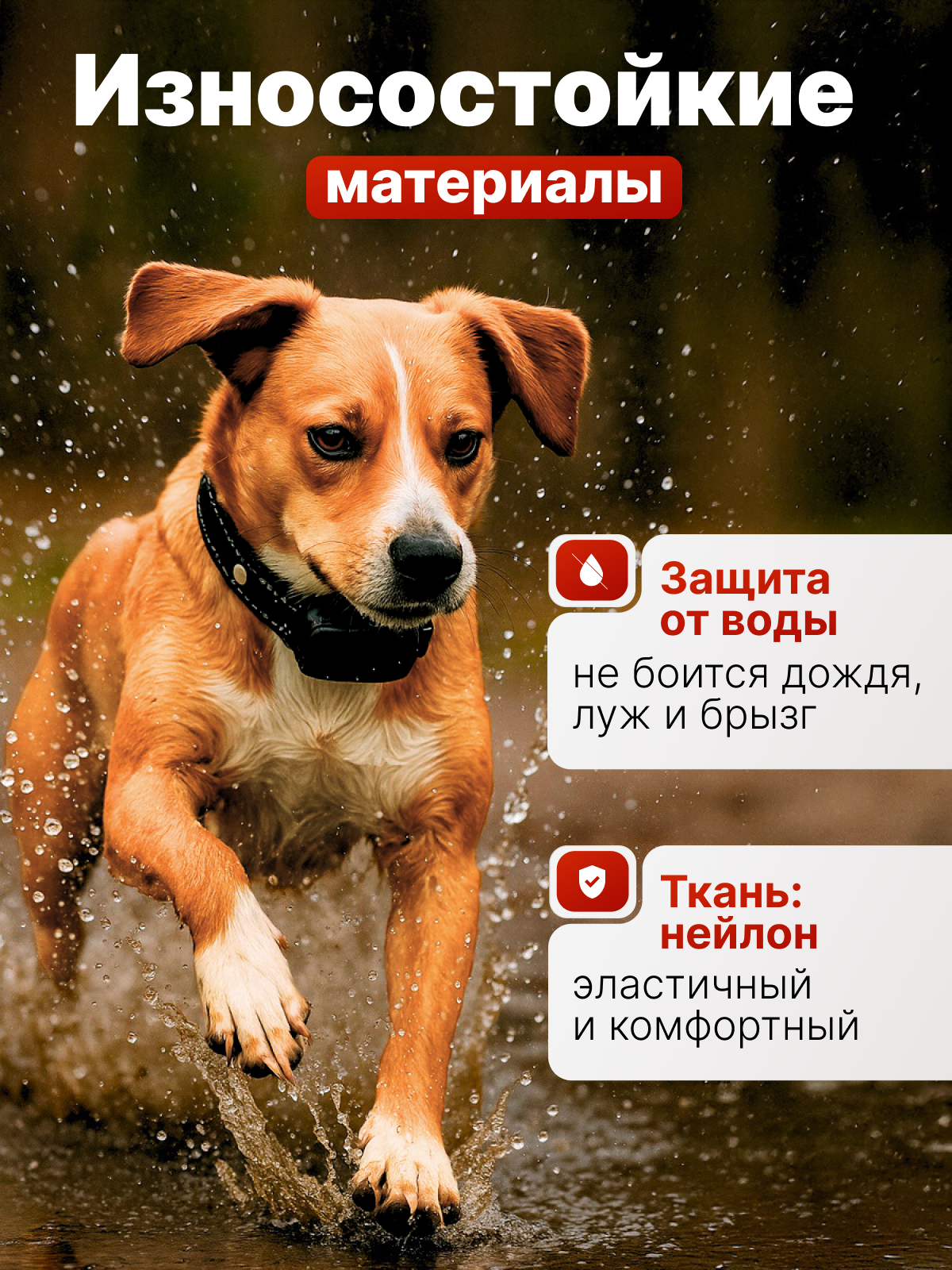 Инфографика. Съёмка одежды для маркетплейсов и брендов Morozova Production