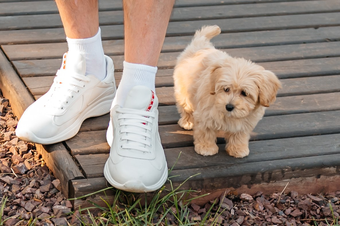 День рождение Киры. Свадебный и семейный фотограф в Москве Елена Брюханова