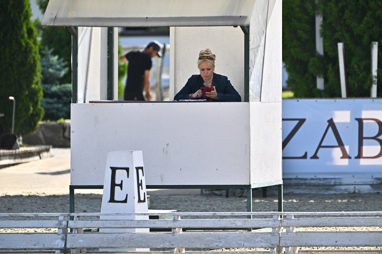 Отзывы. ТУРНИРНАЯ КОННАЯ ФОТОГРАФИЯ, Руднева Ольга и Евгений Адеев