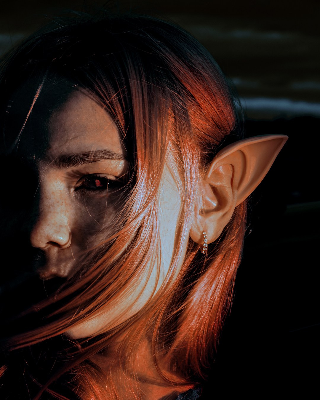 Сумерки Эльфа. 