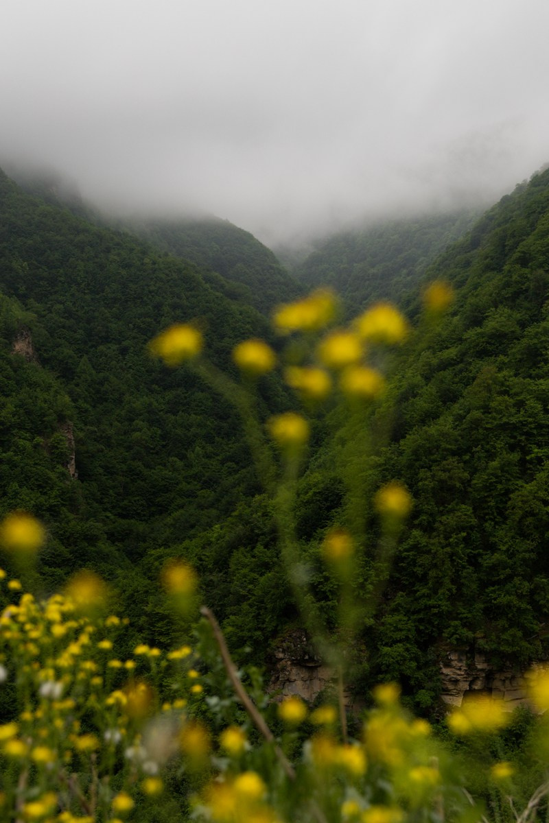 Горы. Photomantis