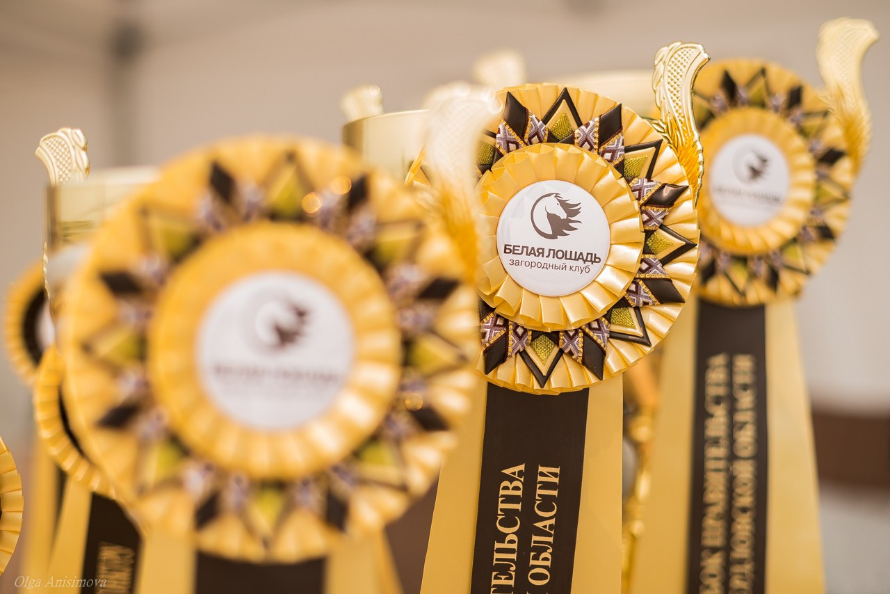 Спортивный репортаж. Фотоагентство для бизнеса и частных лиц в Екатеринбурге