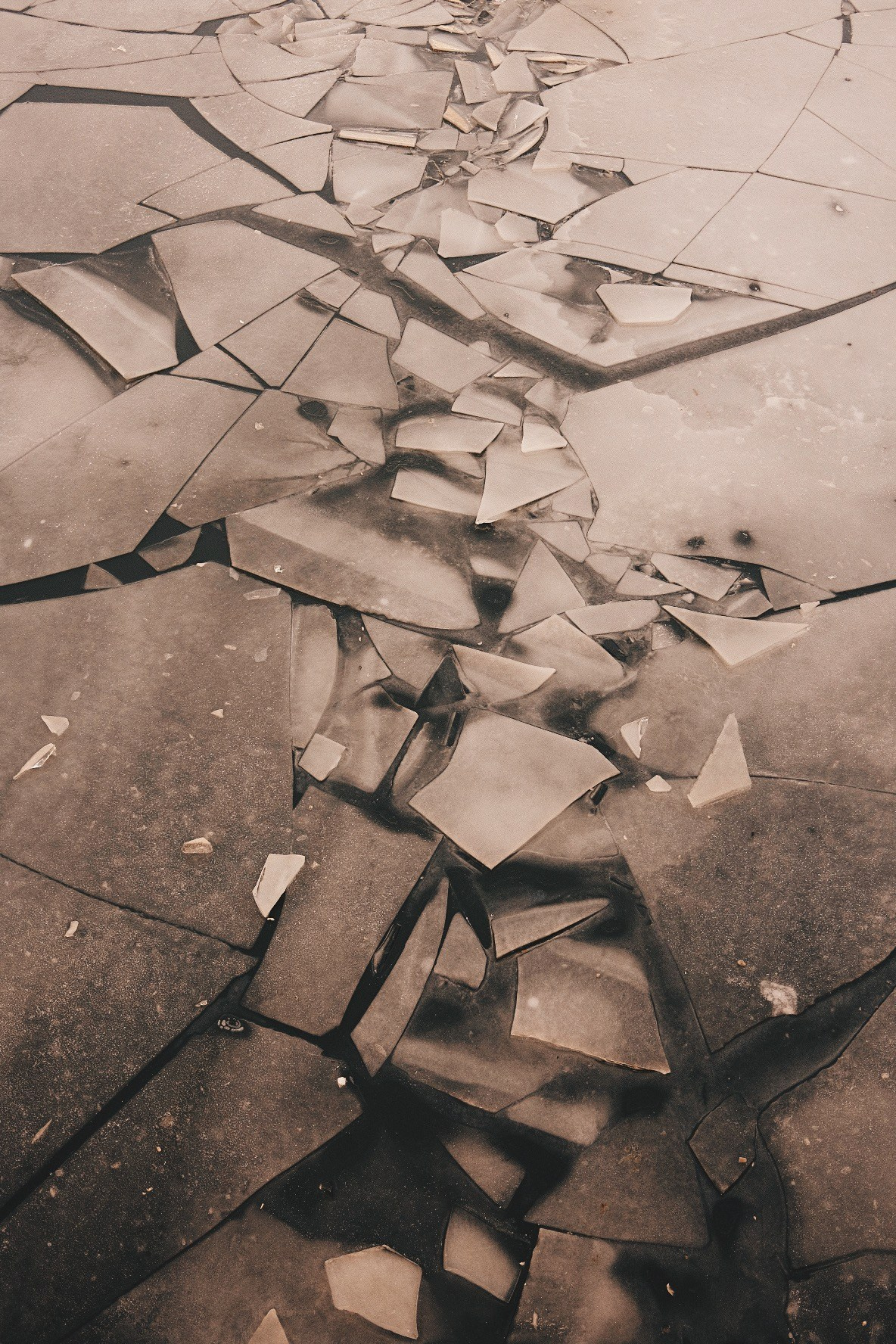 Street Diary. Аня Степанова