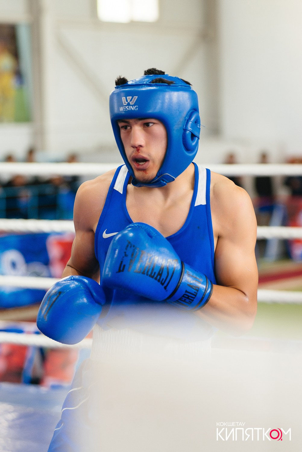 Турнир по боксу. КИПЯТКОМ КОКШЕТАУ