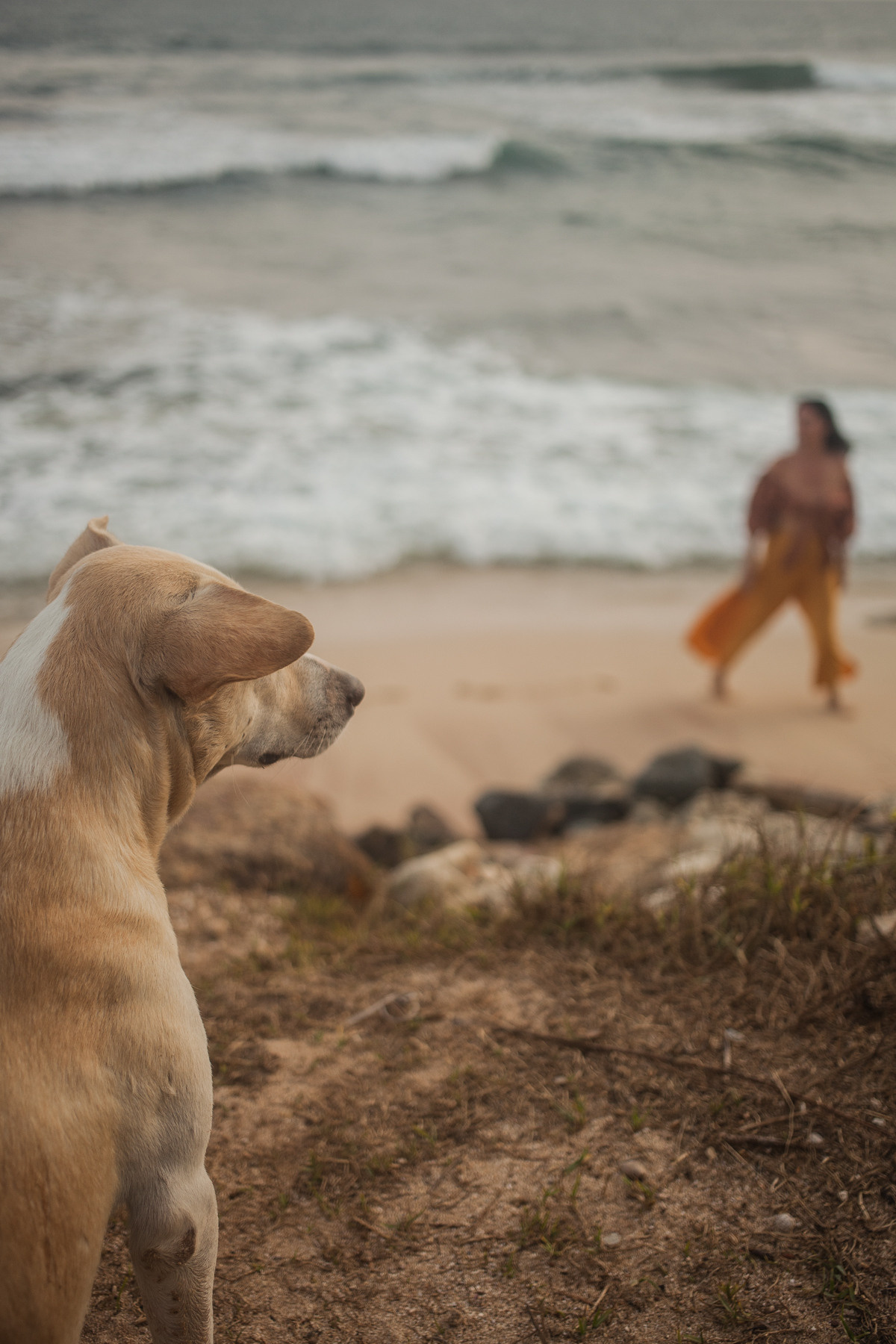 Julia. Darin the photographer