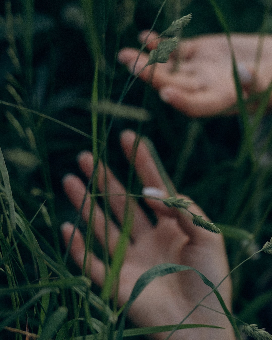 Аня и Чак. Фотограф анималист в Москве и Санкт-Петербурге Свиридова Анна