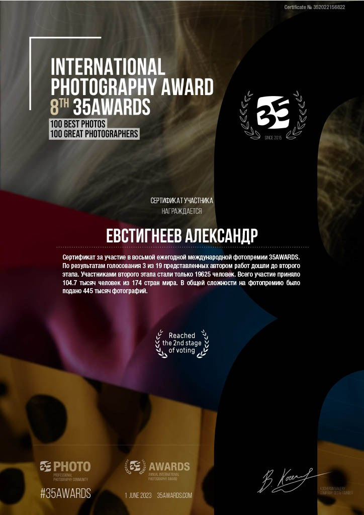 Дипломы. Съемка в студии под ваш запрос, съемки архитектурных объектов — Александр Евстигнеев — фотограф Москва