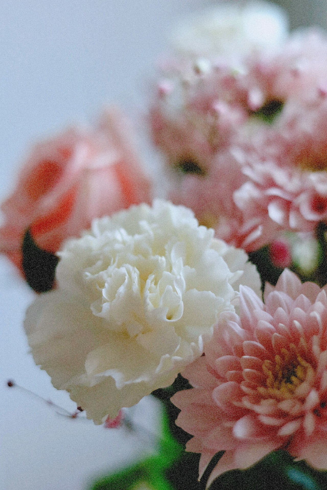 Все, что вокруг меня. Фотограф Евгения Ошкина, Саранск