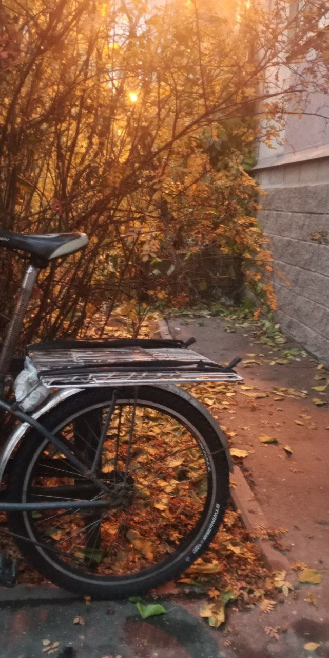 Красуйся, град Петров!. Фотокружок «Видоискатель» ГБОУ СОШ № 291