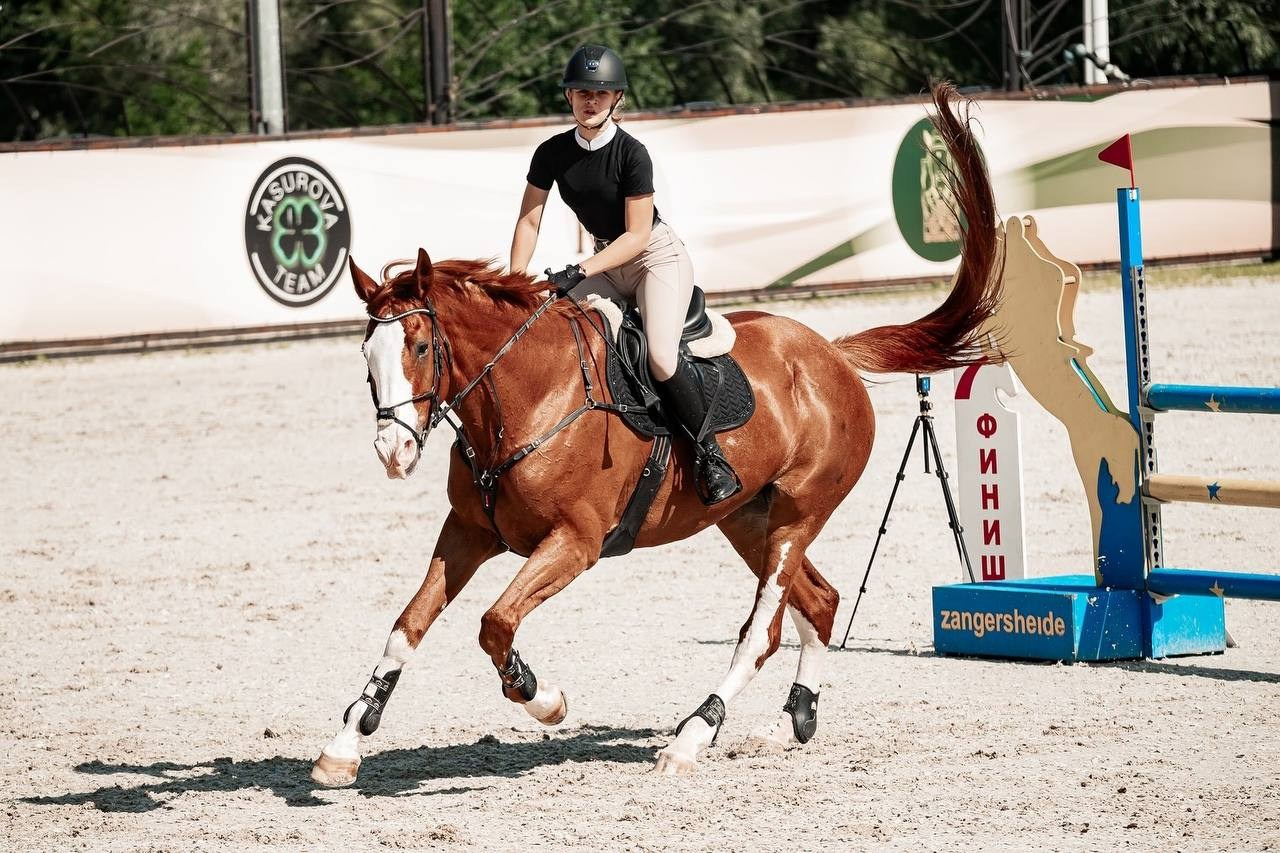 «КОМАНДНЫЙ ДРАЙВ», 3 этап — КСК «ВИВАТ, РОССИЯ!». Куракина Дарья • Конный фотограф