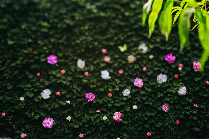 Свадебное настроение. Фотограф в Махачкале Саид Гаджиев