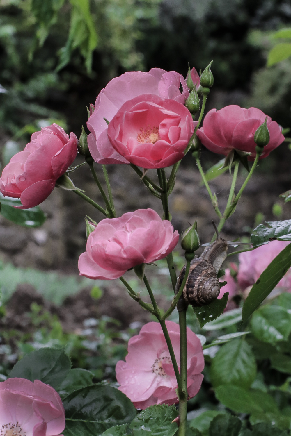 Природа. Фотограф Юля Постнова