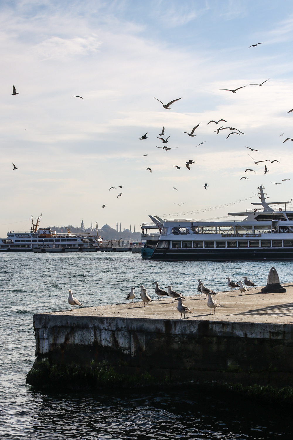 Турция, Стамбул. Фотограф Юля Постнова