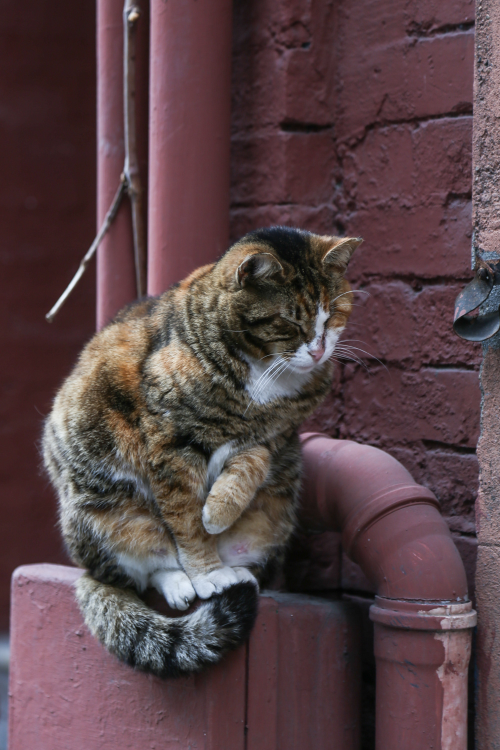 Турция, Стамбул. Фотограф Юля Постнова