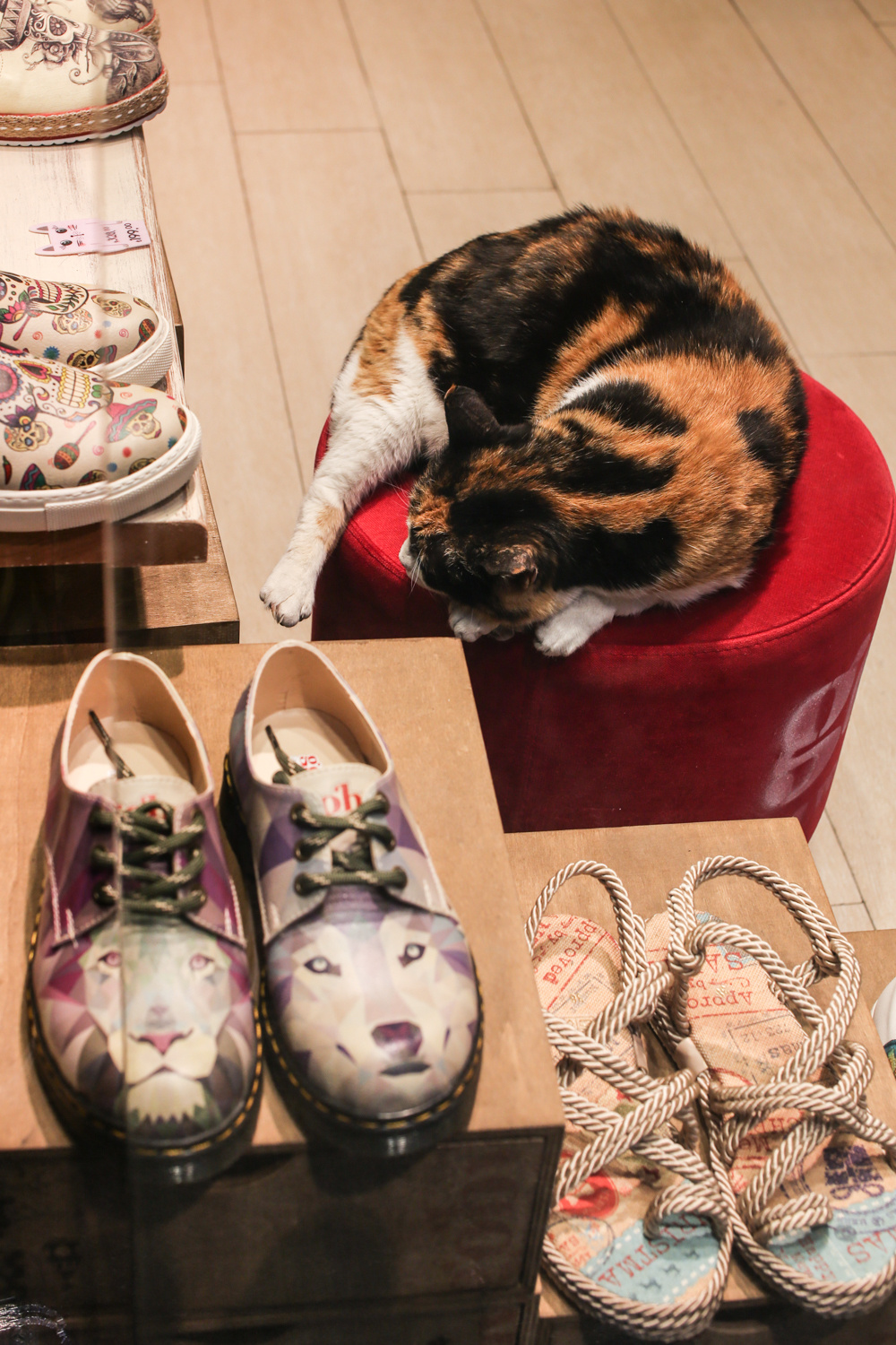 Турция, Стамбул. Фотограф Юля Постнова