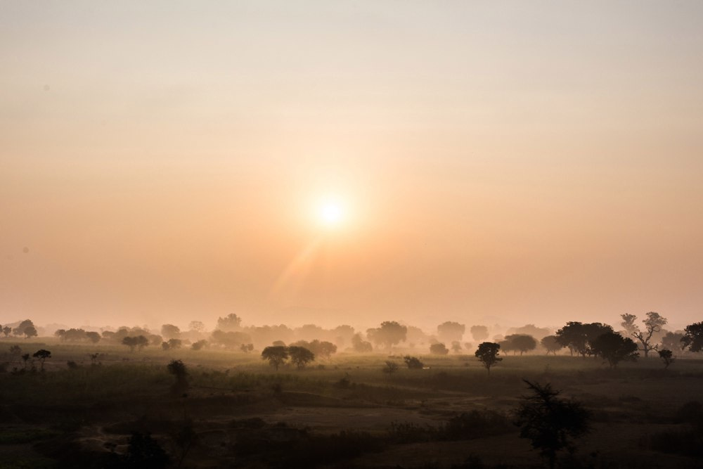 Индия 2016-2017. Фотограф Юля Постнова