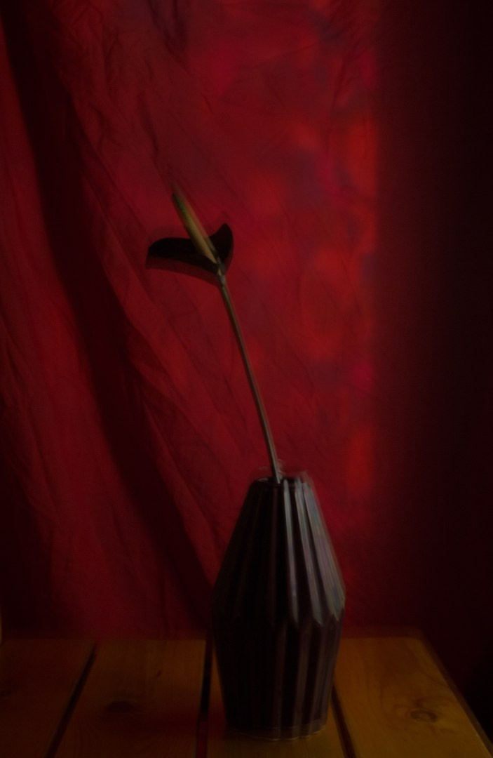 Вне серий. KATERINA CHERNAYA