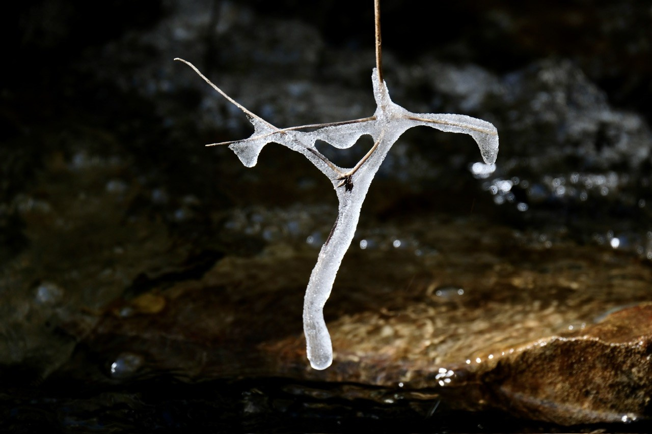 Алтай. Фотограф Евгений Андреев