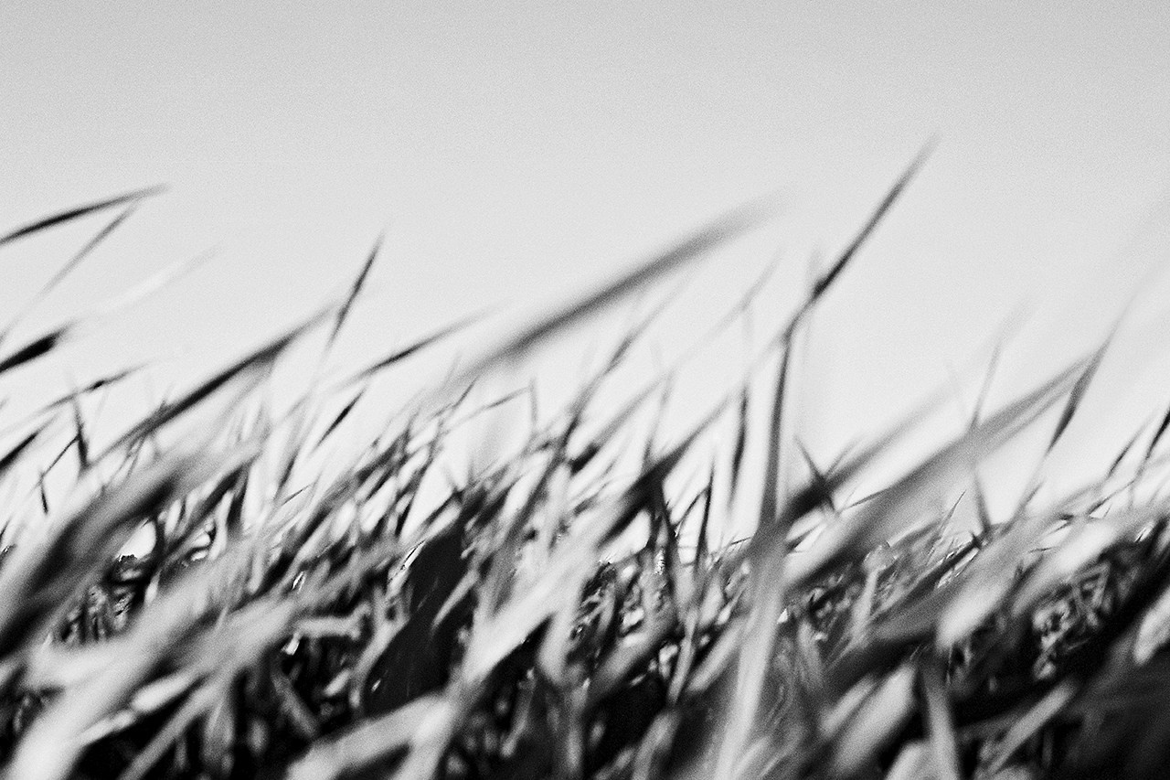 РАЗНОЕ. Андрей Пономарёв