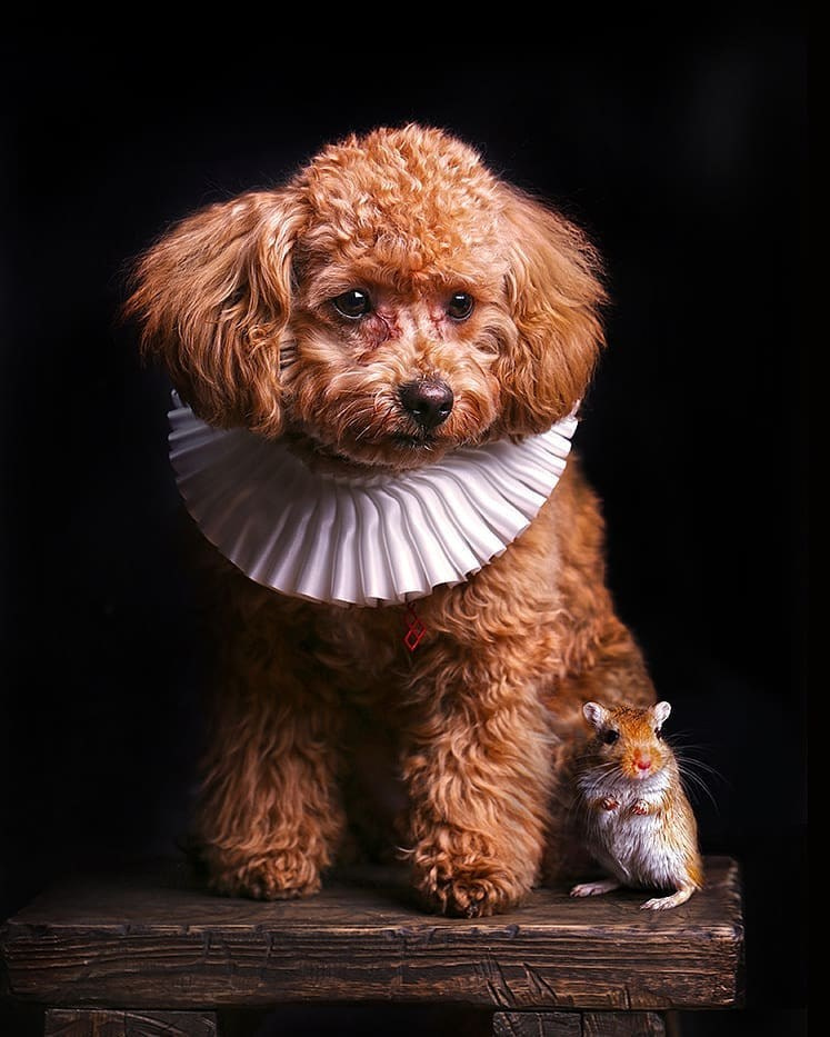 Концептуальная. Бизнес фотограф в Москве Алексей Кознев