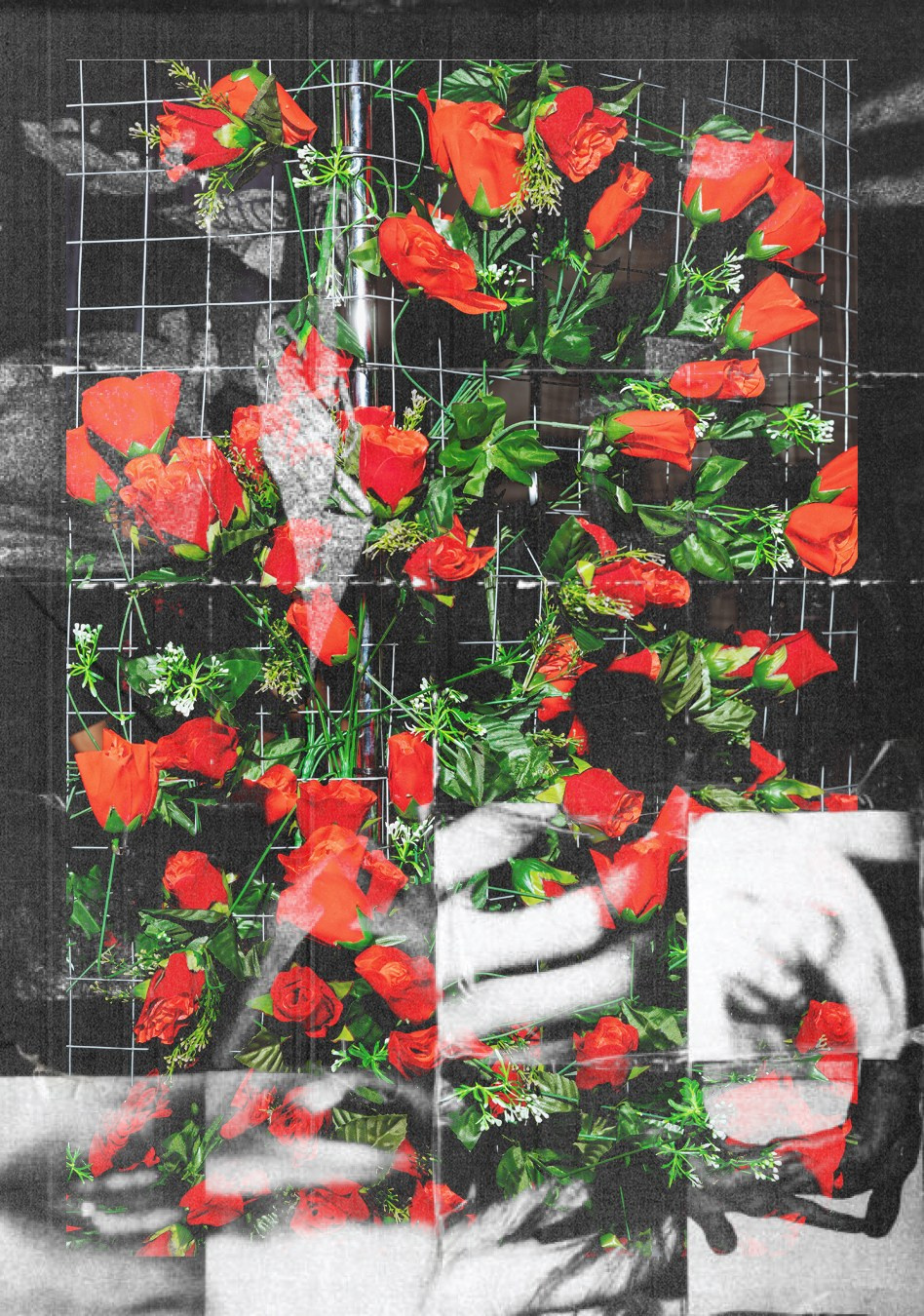 IF. Портретный и ивент-фотограф в Москве