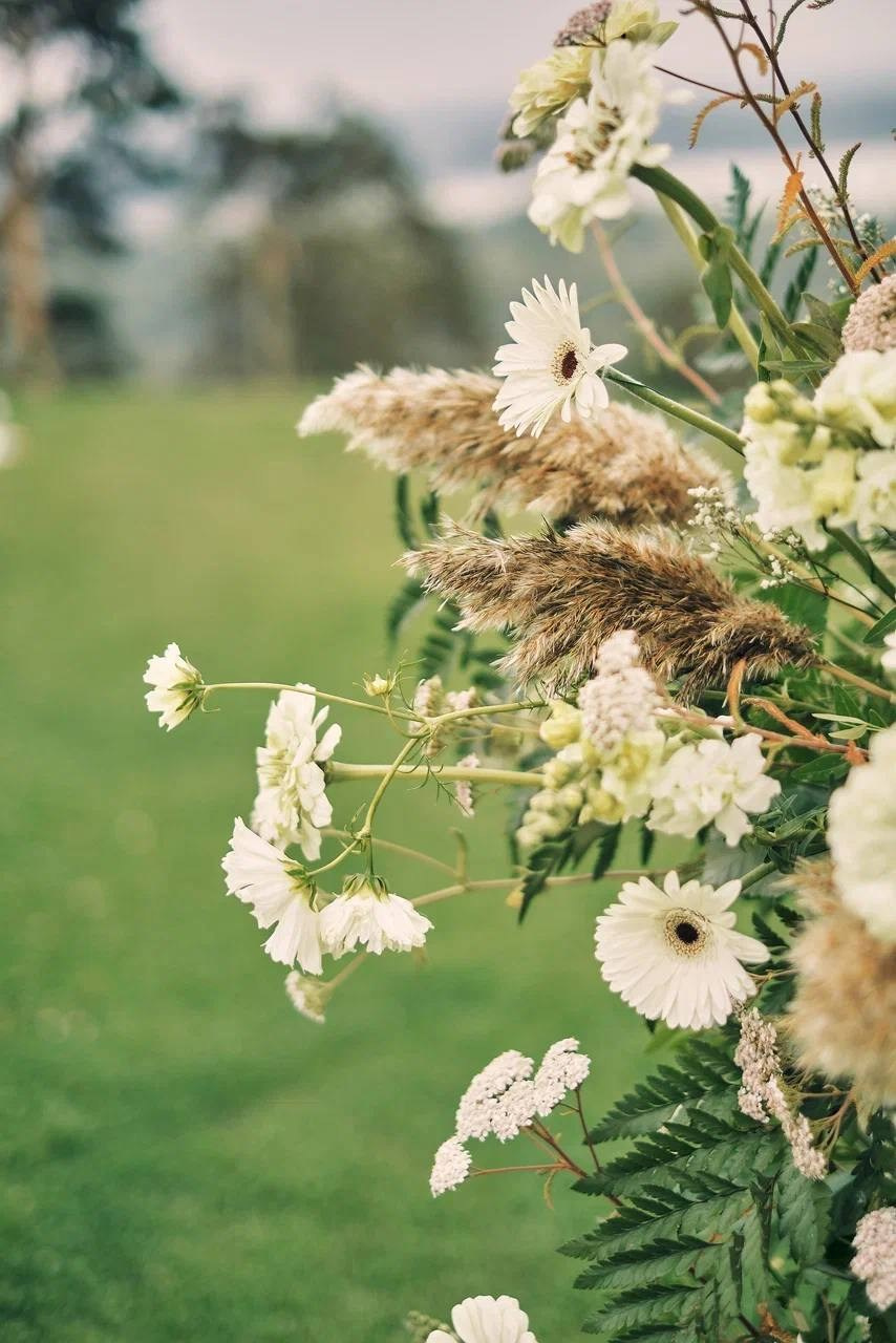 Никита и Виктория. Организатор свадеб Барнаул/Алтай/Дагестан