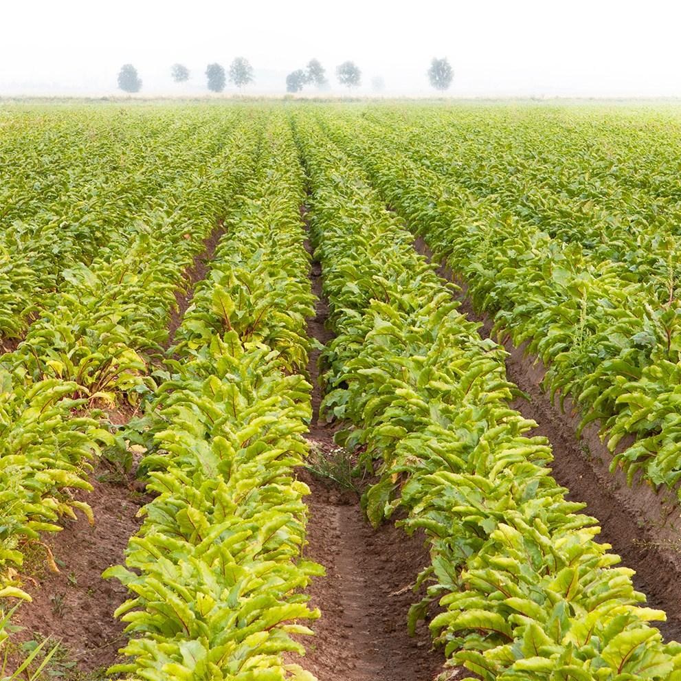 Landschaft. Vasiliy Riabovol – Fine Art Photography | Zeit, Raum und Stille